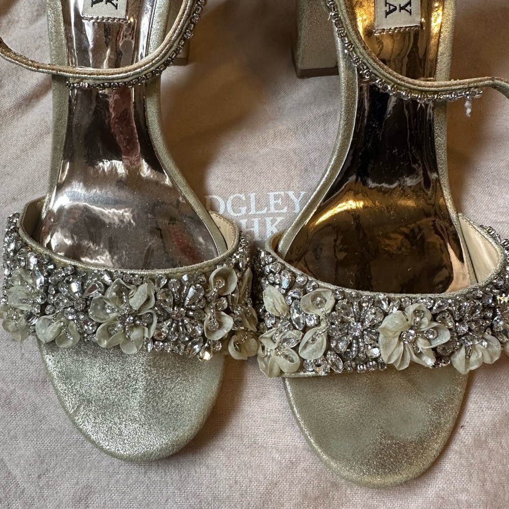 Badgley Mischka Finesse size 7 heels, platino metallic satin